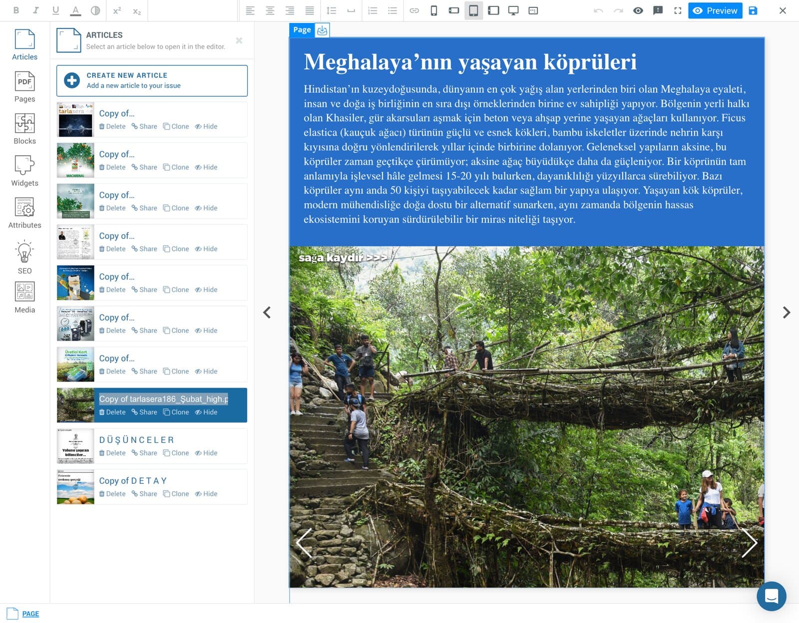 MagLoft Editor screenshot 2