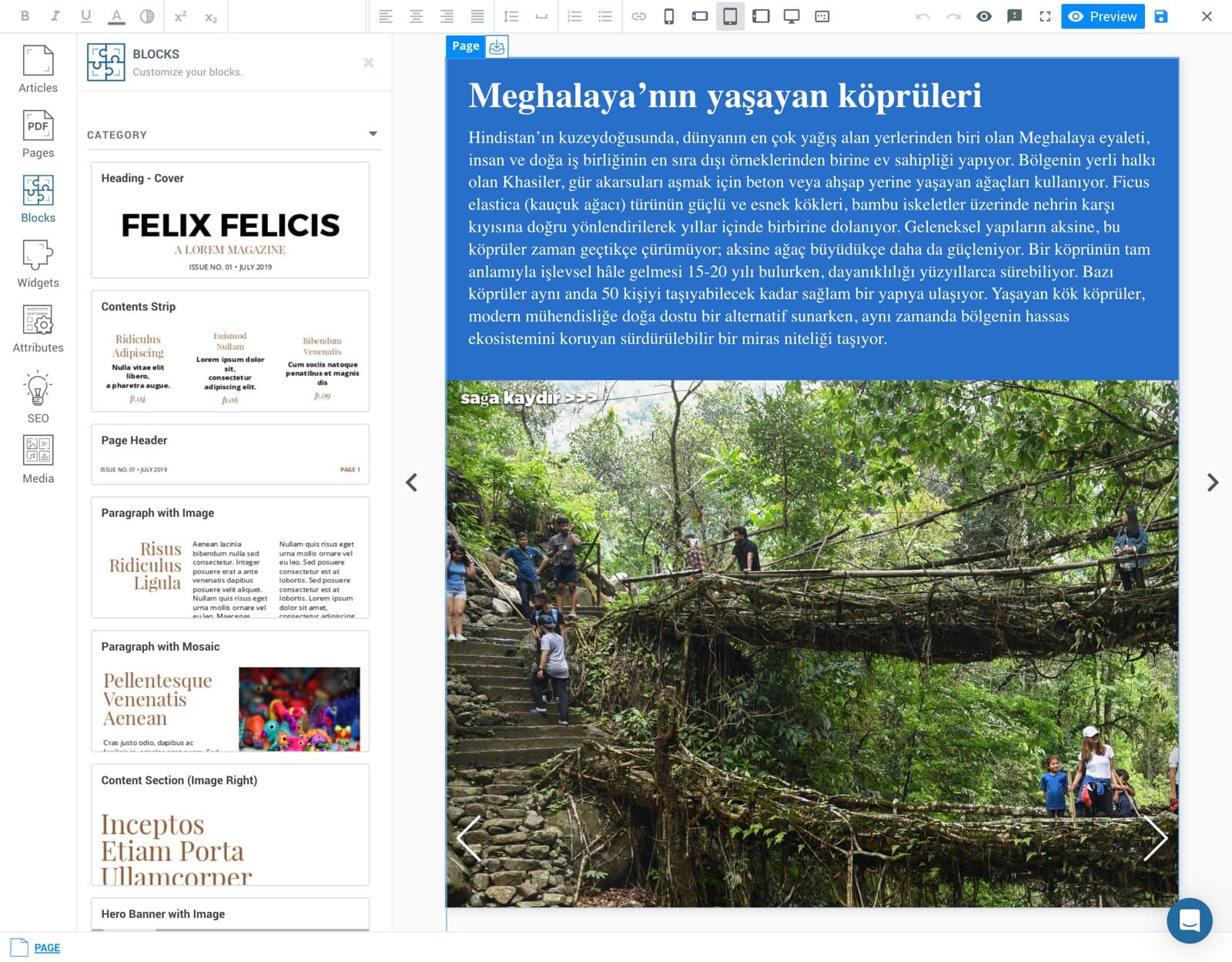 MagLoft Editor screenshot 3
