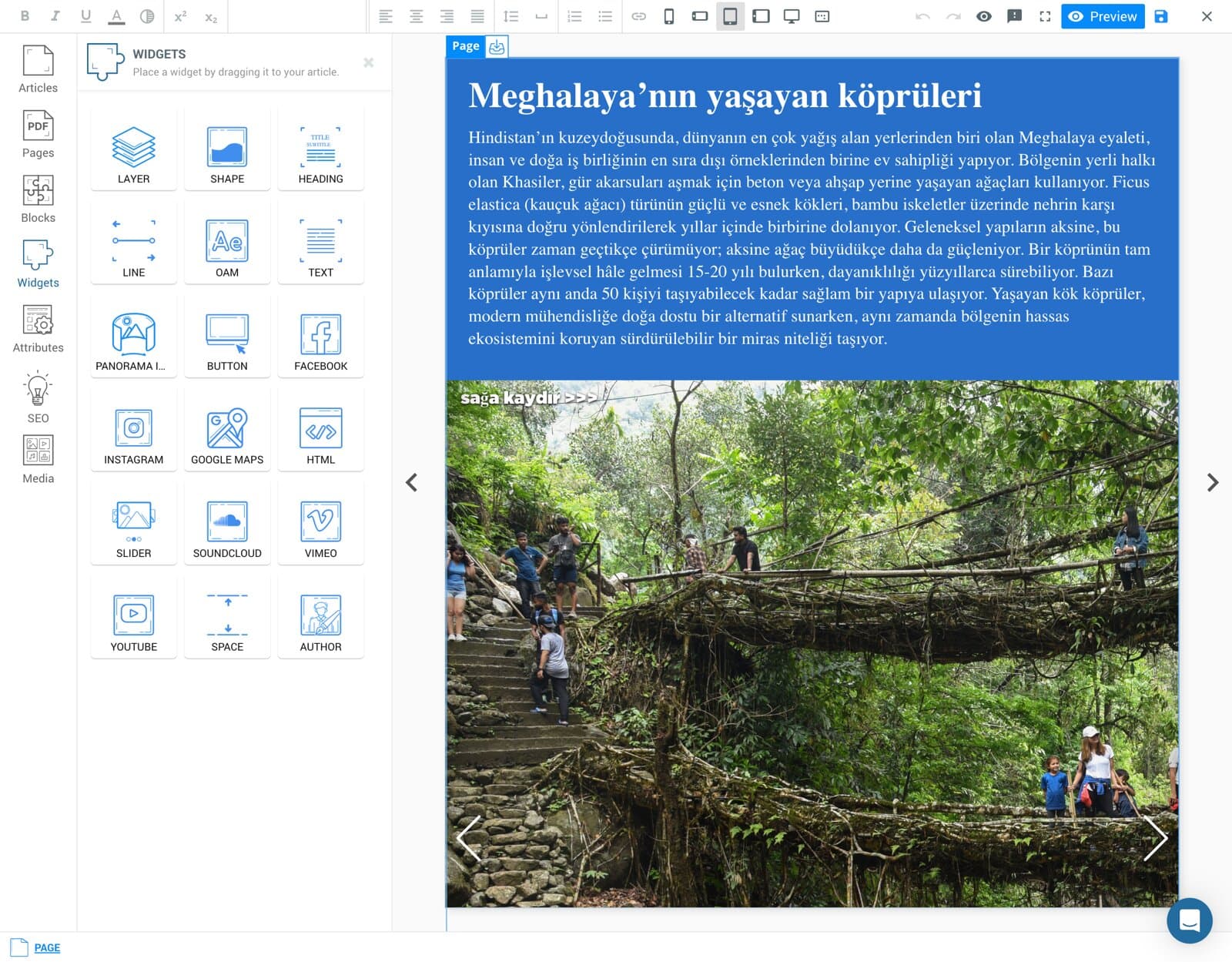 MagLoft Editor screenshot 4